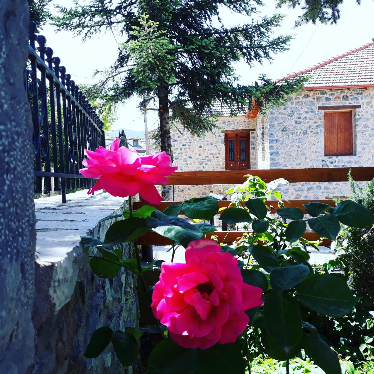 Archontiko Nikolopoulou Hotell Vytina Exteriör bild